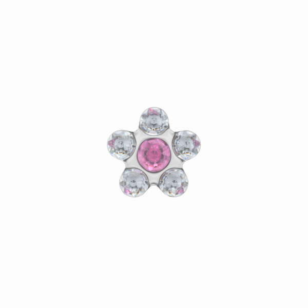 Studex 157 Prikoorbel Daisy Roze Wit