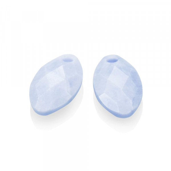Sparkling Jewels - Oorbel Edelstenen EAGEM47-FCLF-S Blue Lace Agate Leaf