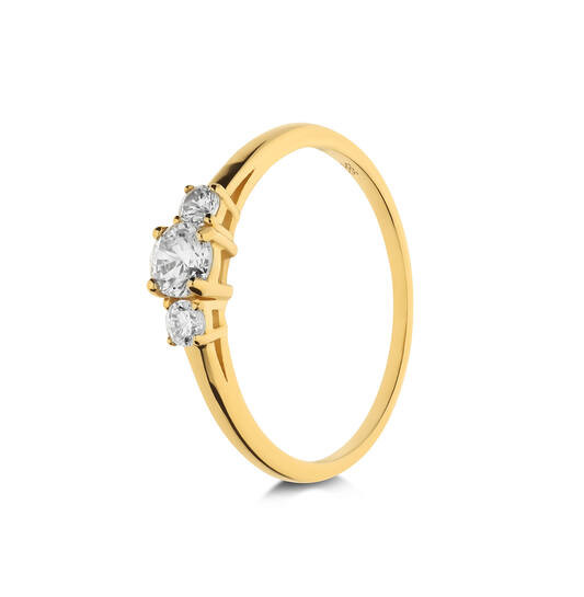 Gouden Fantasie Ring maat 56