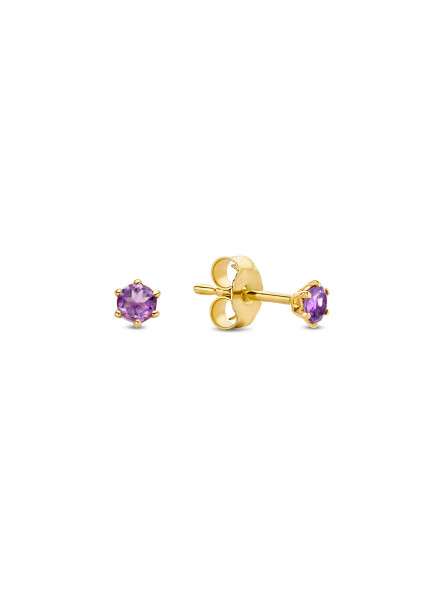 Jackie - Gouden Oorknopjes JKE20.006 Amethyst