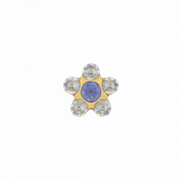Studex 156 Prikoorbel Daisy wit blauw