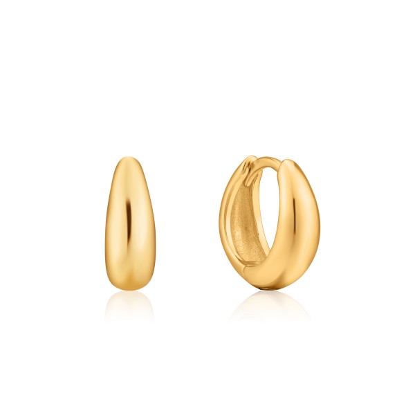 Ania Haie OorbellenE024-03G Goudkleurig