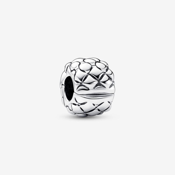 Pandora Stuuded Chain Clipbedel 792746C00