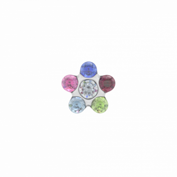 Studex 163 Prikoorbel Daisy Regenboog