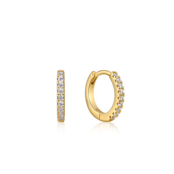 Ania Haie Sparkle Mini Hoop oorringen E035-17G p.stuk
