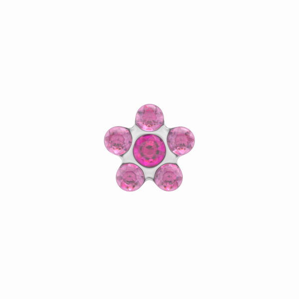 Studex 159 Prikoorbel Daisy Roze