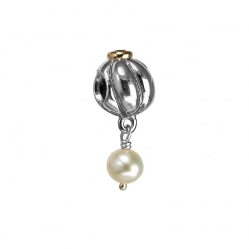 Pandora Moments - Bedel Parel 790402CZ