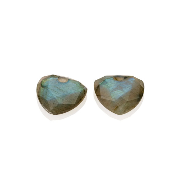Sparkling Jewels Labradorite Trillion Cut oorbel Edelsteen EAGEM18-TRI