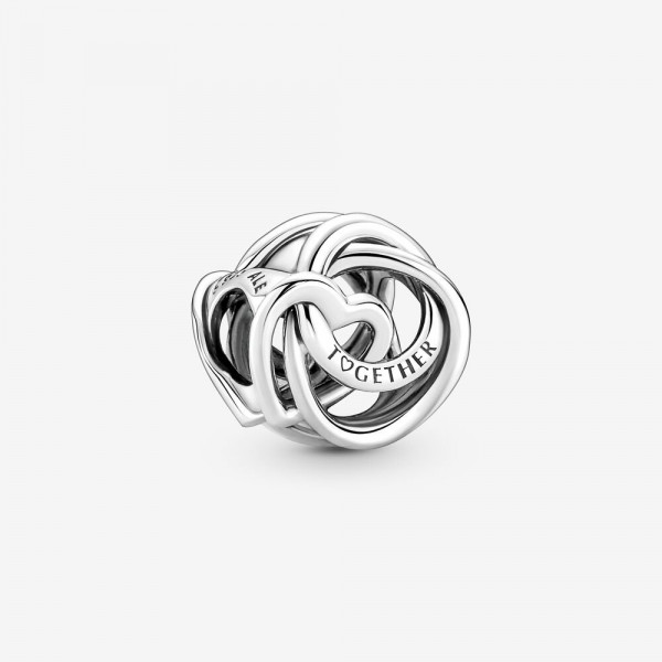 Pandora Moments - Bedel Family Always Encircled 791507C00