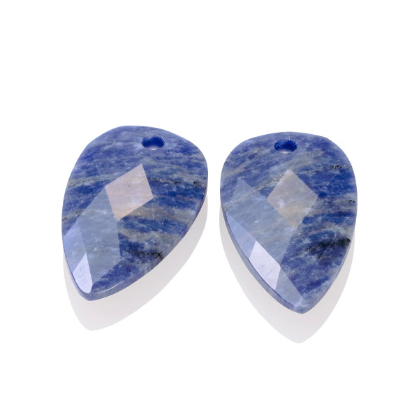 Sparkling Jewels Sodalite Blossom Oorbel Edelstenen EAGEM20-BS